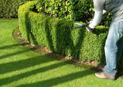 Entretien jardin à Crampagna