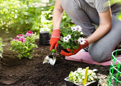 Plantation et aménagement de jardins à Crampagna
