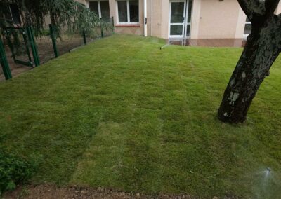 Spécialiste en jardin moderne